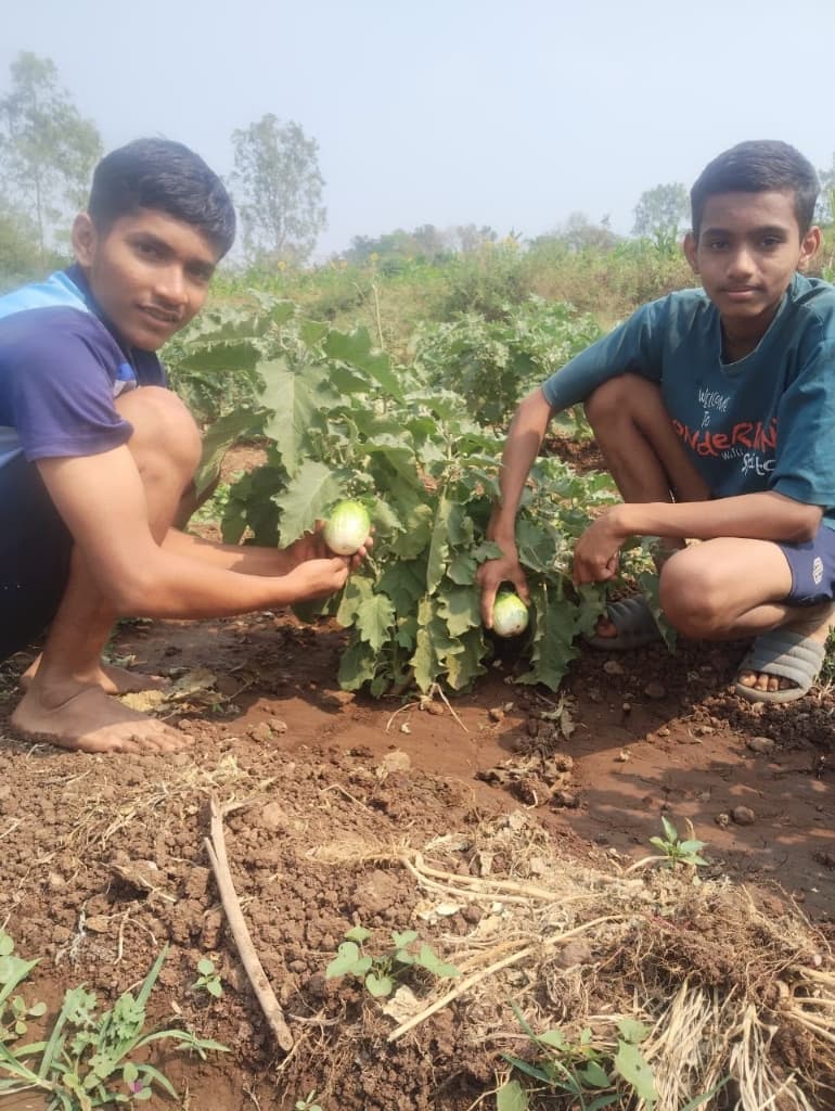 ताजी वांगी (Brinjal)